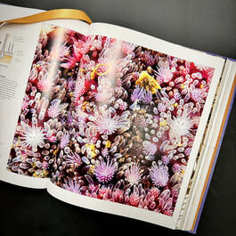 3924 micro life smithsonian illustration9