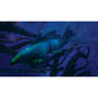3713 Twenty Thousand Leagues flt09