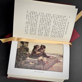 3391 the jungle book rudyard kipling illustration9
