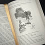 1719 the complete tales of uncle remus joel chandler harris illustration7