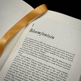 3793 Biography Carpenter satin ribbon 6