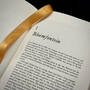 J.R.R. Tolkien: A Biography, 3793 Biography Carpenter satin ribbon 6