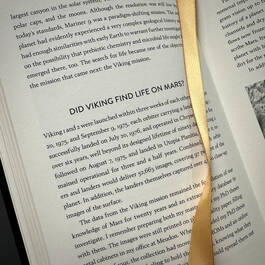 3974 the secret life of the universe cabrol satin ribbon9