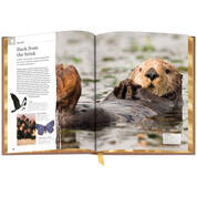 Audobon Nature Handbook 3869 c sp01