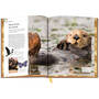 Audobon Nature Handbook 3869 c sp01