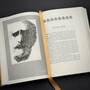 3998028 politics and poetics aristotle illustration9