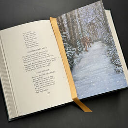 3998051 the poetry of robert frost robert frost illustration8