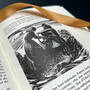 Tess of the d'Urbervilles, 3998073 picture detail