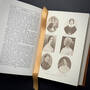 3514 a diary from dixie mary boykin chestnut illustration9