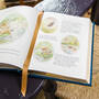 The Complete Tales of Beatrix Potter 3317 8