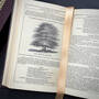 3373 the american anti slavery almanacs american anti slavery society illustration5