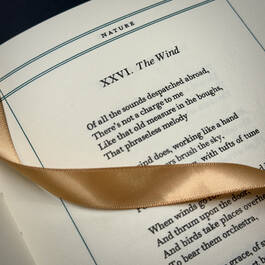 3998048 emily dickinson satin ribbon