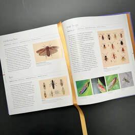 3924 micro life smithsonian satin ribbon1