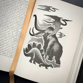 3998068 on the origin of species&nbsp; charles darwin illustration5